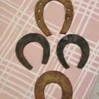 نعل اسبی