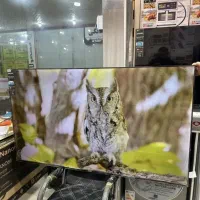 اقتصادی ترین تلویزیون الجی اصل کره