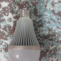 لامپ رشد گیاه بزرگ