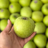 سنجش استقبال از فروشگاه نوپا من میوه خونه