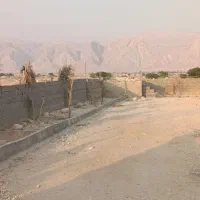 زمین باغ|فروش زمین و ملک کلنگی|بندر دیر, |دیوار