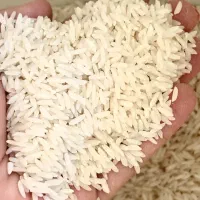 برنج طارم هاشمی