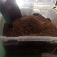 پودرلیموعمانی