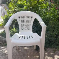صندلی پلاستیکی