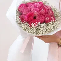 گل رز|گل و گیاه طبیعی|شهریار, شهریار|دیوار