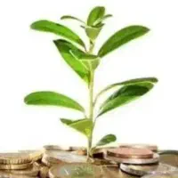 جذب سرمایه گذار