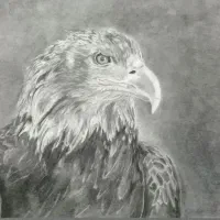 هنر