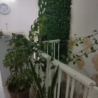 اجاره-زیر-زمین