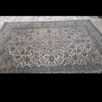 قالی|فرش|سنندج, |دیوار