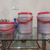 رب خانگی اعلا