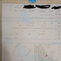 زمین