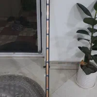 چراغ فدرال