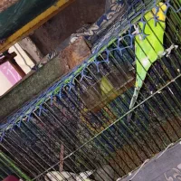 مرغ عشق