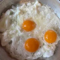 تخم مرغ محلی به شرط درشتی
