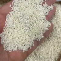 برنج و لاشه دم سیاه تالش