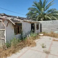 فروش کانکس
