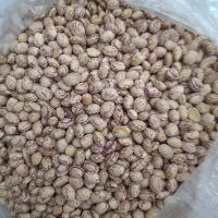 لوبیا چیتی ایرانی تمیز شده