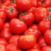 آبگیری گوجه و انگور درب منزل شما