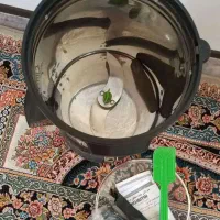 سبزی خرد کن در حد نو