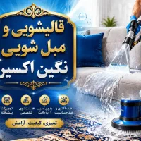 استخدام راننده پایه ۲بدون ماشین و تارجیها مبلشور