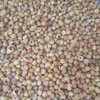 انجیر|خوردنی و آشامیدنی|فسا, |دیوار