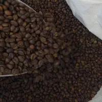 پخش انواع دان قهوه وانواع پودریجات