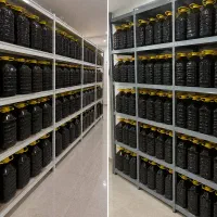 سیر ترشی 5 ساله بصورت تک و عمده