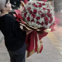رز و ژیسو فیلا