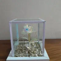 قاب و جعبه هدیه