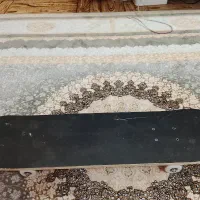 تخته اسکیت