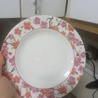 ظرف