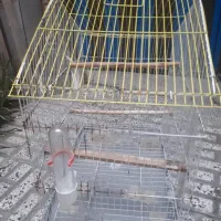 قفس پرنده