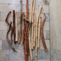 تعدادی سرشاخه طبیعی مناسب برای مکرومه بافی