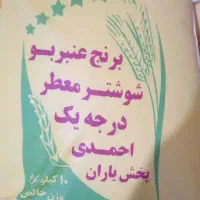 برنج عنبربو