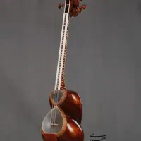 تولید و تعمیرات تخصصی ساز تار