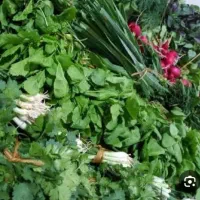 دستگاه سبزی خردکن 5کیلویی