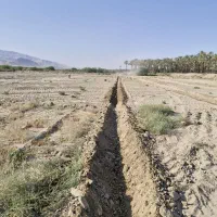 زمین-کشاورزی-دالکی