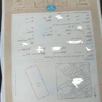 اجاره سند برای زندانی...