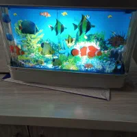 شب خواب زیبا