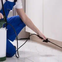 سمپاشی موریانه سوسک سم پاشی ساس موش