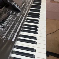ارگ P3x درجه یک و خانگی