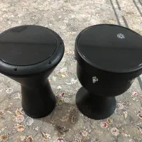 ضرب تمپو مدل پژواک نو هست