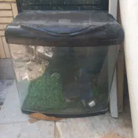 آکواریوم دلسا شرکتی