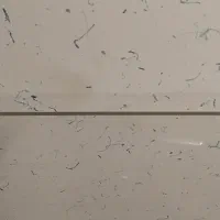 محافظ صفحه تلویزیون ۴۹