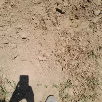 زمین کشاورزی اجاره ای