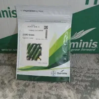 بذر خیار ویکتور شرکتی تاریخ جدید