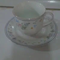 فنجان و نلبکی