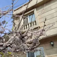 لوکسترین-ویلادوبلکس-با175متربنا-فول-شیک-بلوارولایت