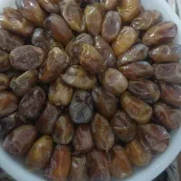 رطب کبکاب