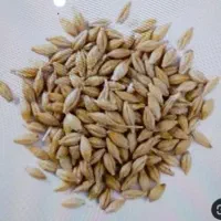 جو محلی